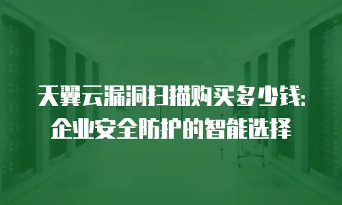 天翼云漏洞扫描购买多少钱：企业安全防护的智能选择