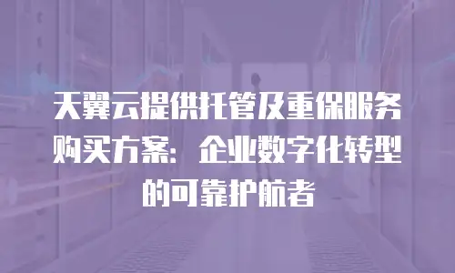 天翼云提供托管及重保服务购买方案：企业数字化转型的可靠护航者