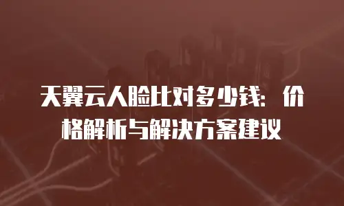 天翼云人脸比对多少钱：价格解析与解决方案建议