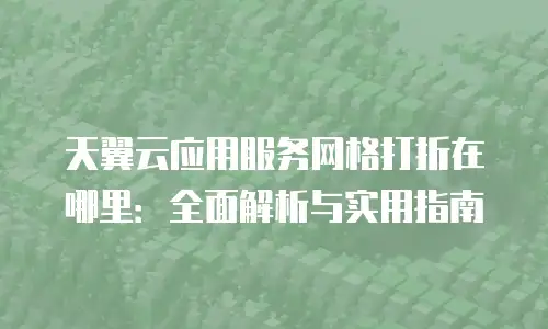 天翼云应用服务网格打折在哪里：全面解析与实用指南