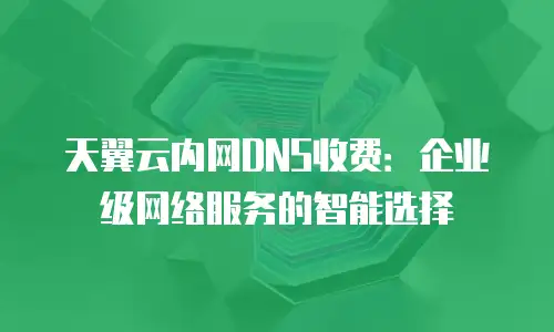 天翼云内网DNS收费：企业级网络服务的智能选择