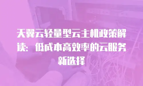 天翼云轻量型云主机政策解读：低成本高效率的云服务新选择