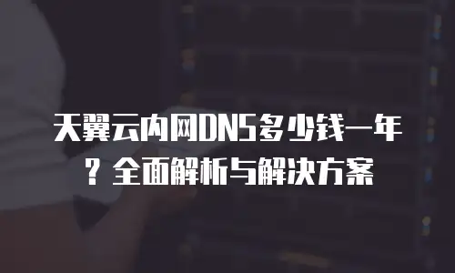 天翼云内网DNS多少钱一年？全面解析与解决方案