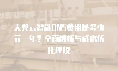 天翼云智能DNS费用是多少元一年？全面解析与成本优化建议