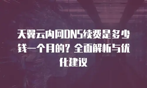 天翼云内网DNS续费是多少钱一个月的？全面解析与优化建议