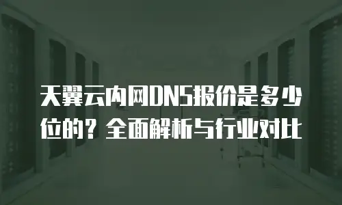 天翼云内网DNS报价是多少位的？全面解析与行业对比
