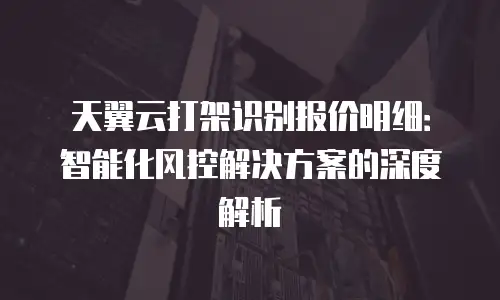 天翼云打架识别报价明细：智能化风控解决方案的深度解析