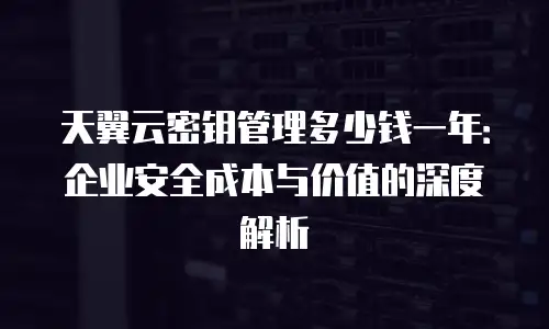 天翼云密钥管理多少钱一年：企业安全成本与价值的深度解析