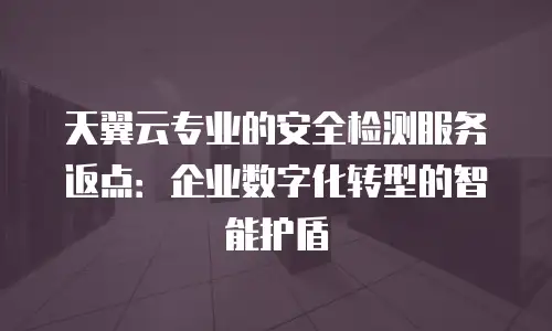 天翼云专业的安全检测服务返点：企业数字化转型的智能护盾