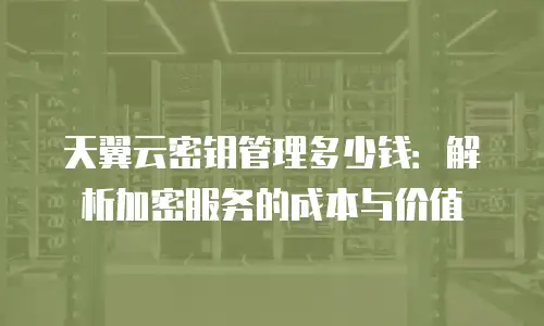 天翼云密钥管理多少钱：解析加密服务的成本与价值