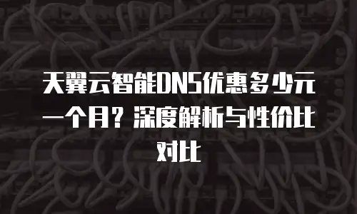 天翼云智能DNS优惠多少元一个月？深度解析与性价比对比