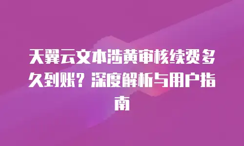 天翼云文本涉黄审核续费多久到账？深度解析与用户指南