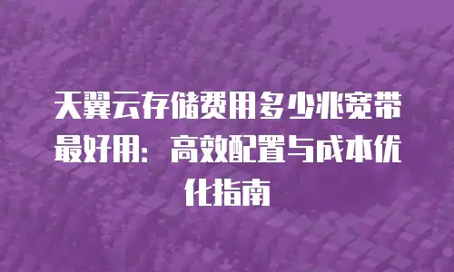 天翼云存储费用多少兆宽带最好用：高效配置与成本优化指南