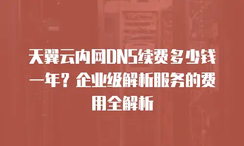 天翼云内网DNS续费多少钱一年？企业级解析服务的费用全解析