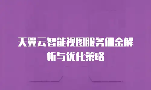 天翼云智能视图服务佣金解析与优化策略