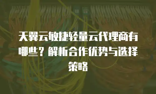 天翼云敏捷轻量云代理商有哪些？解析合作优势与选择策略