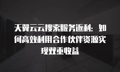 天翼云云搜索服务返利：如何高效利用合作伙伴资源实现双重收益