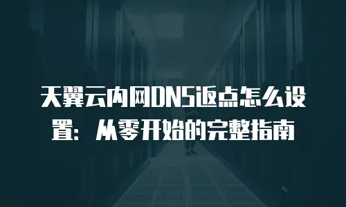 天翼云内网DNS返点怎么设置：从零开始的完整指南