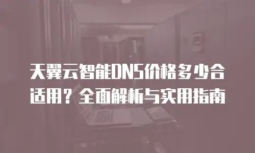 天翼云智能DNS价格多少合适用？全面解析与实用指南