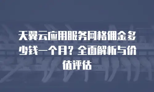 天翼云应用服务网格佣金多少钱一个月？全面解析与价值评估