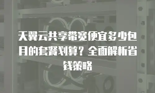 天翼云共享带宽便宜多少包月的套餐划算？全面解析省钱策略