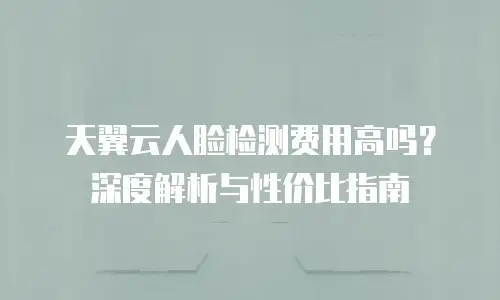 天翼云人脸检测费用高吗？深度解析与性价比指南