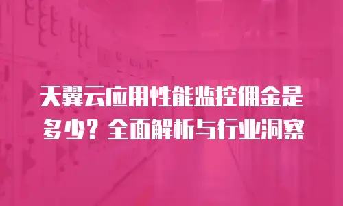 天翼云应用性能监控佣金是多少？全面解析与行业洞察