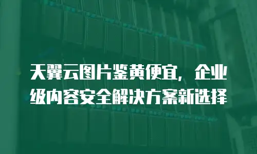 天翼云图片鉴黄便宜，企业级内容安全解决方案新选择