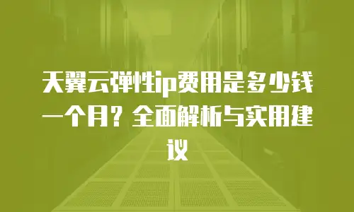 天翼云弹性ip费用是多少钱一个月？全面解析与实用建议