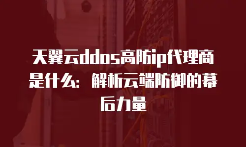 天翼云ddos高防ip代理商是什么：解析云端防御的幕后力量