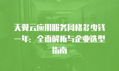 天翼云应用服务网格多少钱一年：全面解析与企业选型指南