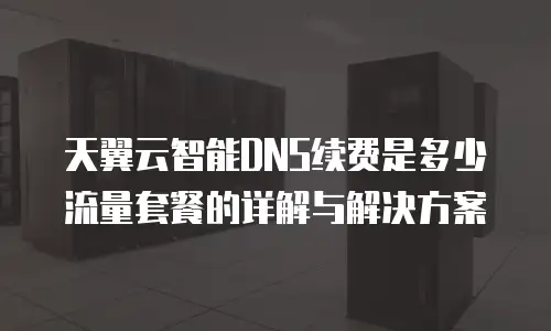 天翼云智能DNS续费是多少流量套餐的详解与解决方案