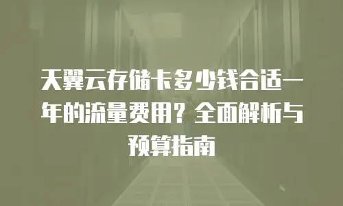 天翼云存储卡多少钱合适一年的流量费用？全面解析与预算指南