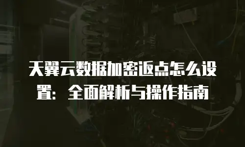 天翼云数据加密返点怎么设置：全面解析与操作指南