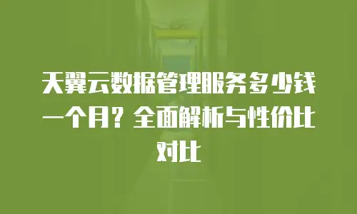 天翼云数据管理服务多少钱一个月？全面解析与性价比对比