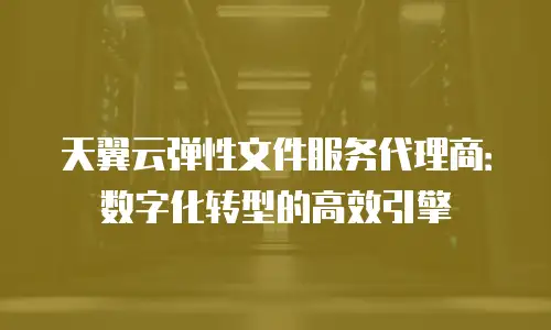 天翼云弹性文件服务代理商：数字化转型的高效引擎