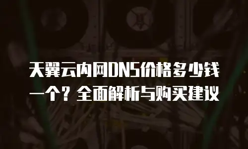 天翼云内网DNS价格多少钱一个？全面解析与购买建议