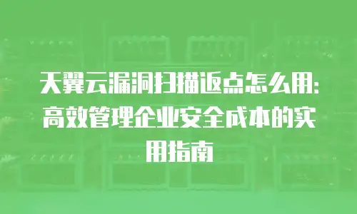 天翼云漏洞扫描返点怎么用：高效管理企业安全成本的实用指南