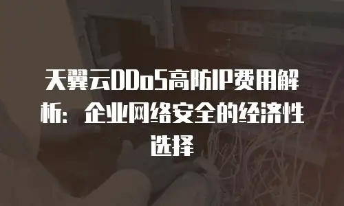 天翼云DDoS高防IP费用解析：企业网络安全的经济性选择