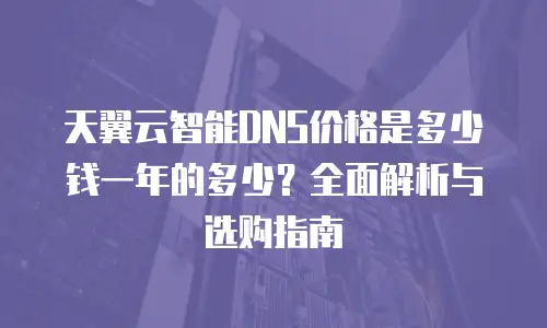 天翼云智能DNS价格是多少钱一年的多少？全面解析与选购指南