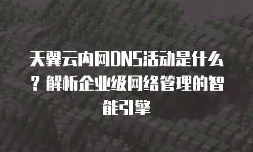天翼云内网DNS活动是什么？解析企业级网络管理的智能引擎