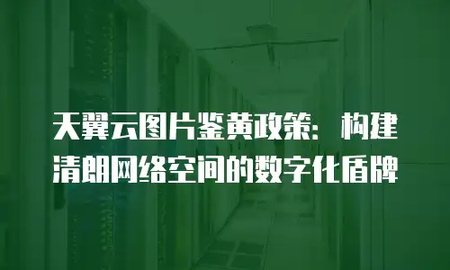 天翼云图片鉴黄政策：构建清朗网络空间的数字化盾牌