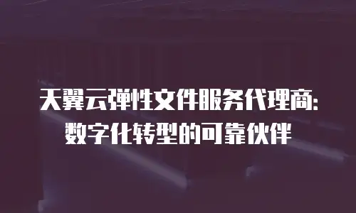 天翼云弹性文件服务代理商：数字化转型的可靠伙伴