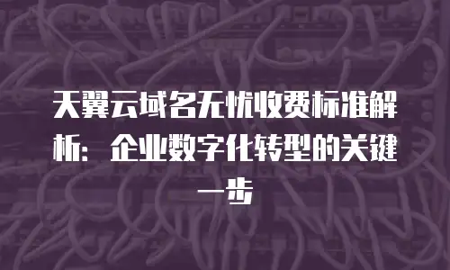 天翼云域名无忧收费标准解析：企业数字化转型的关键一步