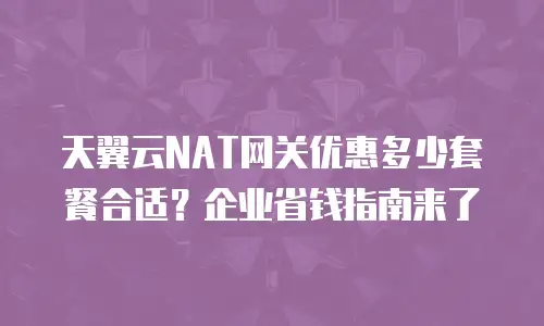 天翼云NAT网关优惠多少套餐合适？企业省钱指南来了