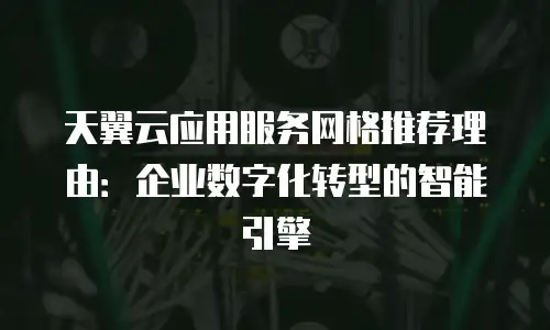 天翼云应用服务网格推荐理由：企业数字化转型的智能引擎