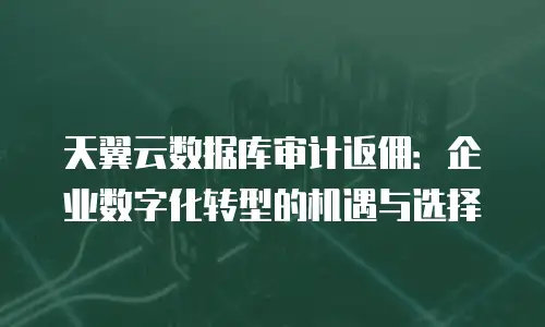 天翼云数据库审计返佣：企业数字化转型的机遇与选择