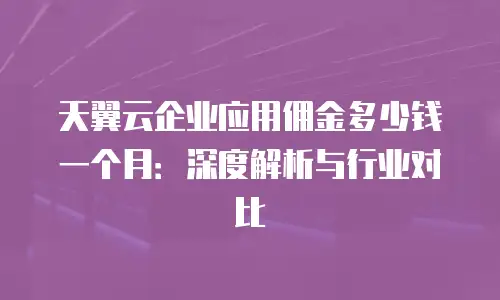 天翼云企业应用佣金多少钱一个月：深度解析与行业对比