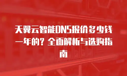 天翼云智能DNS报价多少钱一年的？全面解析与选购指南