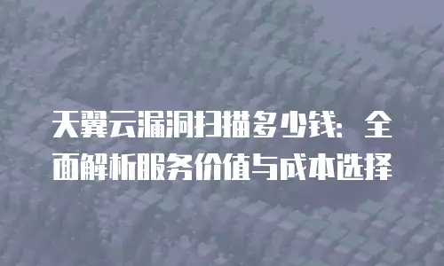 天翼云漏洞扫描多少钱：全面解析服务价值与成本选择